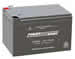 Rechargable Sealed Lead-Acid Batteries - General Purpose Batteries part number PS-12120-F2 photo